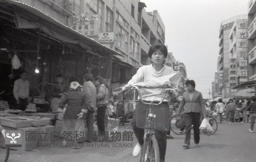 1950至2006年臺灣常民生活藏品圖，第1張