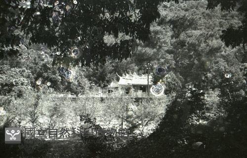 1950至2006年台灣常民生活藏品圖，第1張