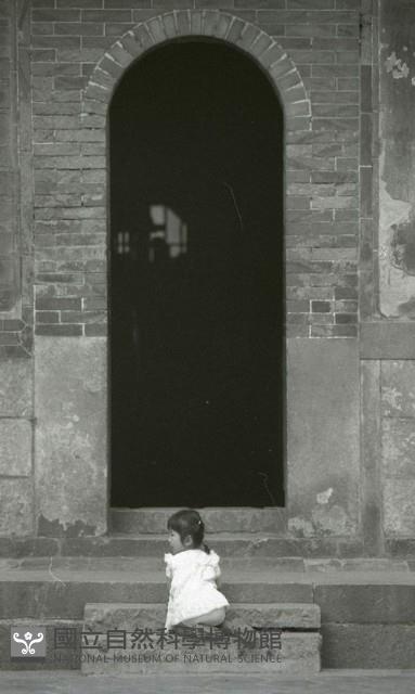 1950至2006年臺灣常民生活藏品圖，第1張