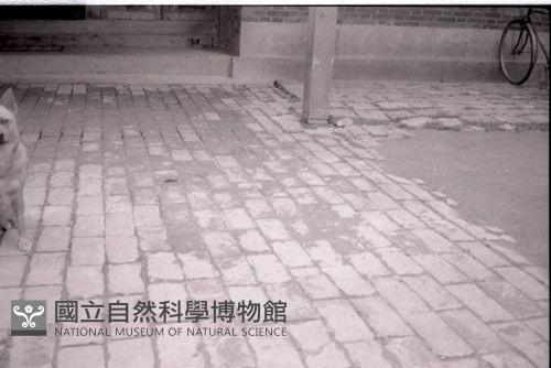 1950至2006年臺灣常民生活藏品圖，第1張