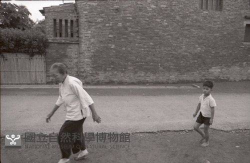1950至2006年臺灣常民生活藏品圖，第1張