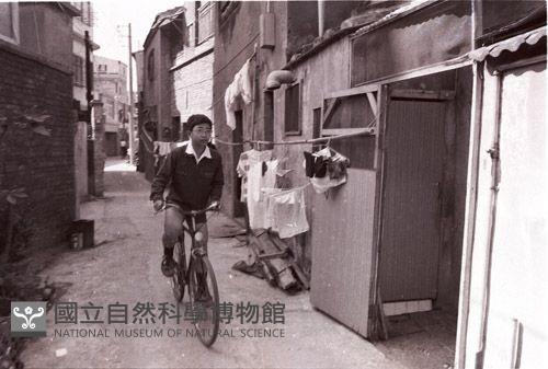 1950至2006年臺灣常民生活藏品圖，第1張