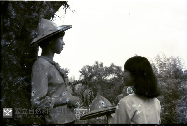 1950至2006年臺灣常民生活藏品圖，第1張