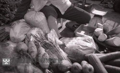 1950至2006年臺灣常民生活藏品圖，第1張