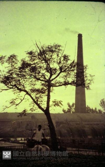1950至2006年臺灣常民生活藏品圖，第1張