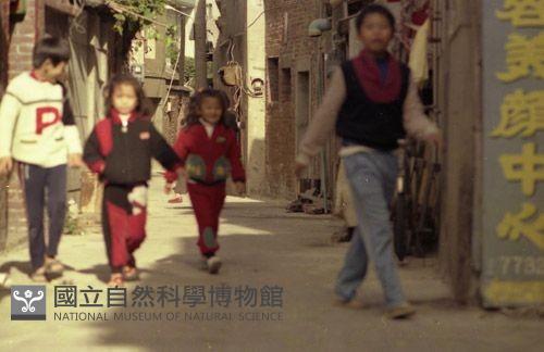 1950至2006年臺灣常民生活藏品圖，第1張