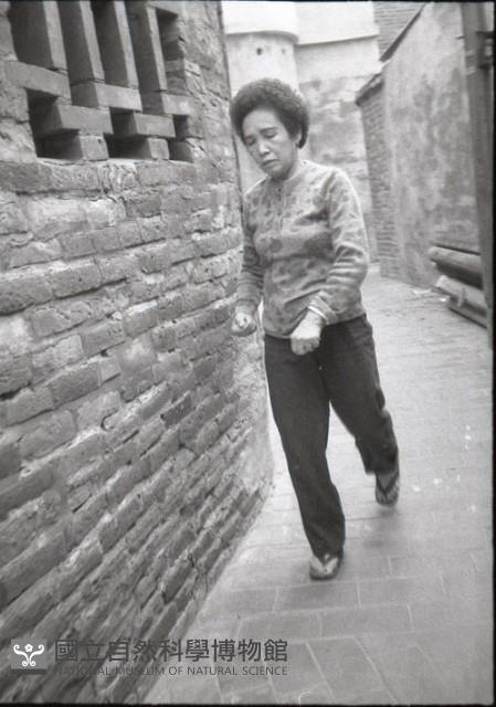 1950至2006年臺灣常民生活藏品圖，第1張