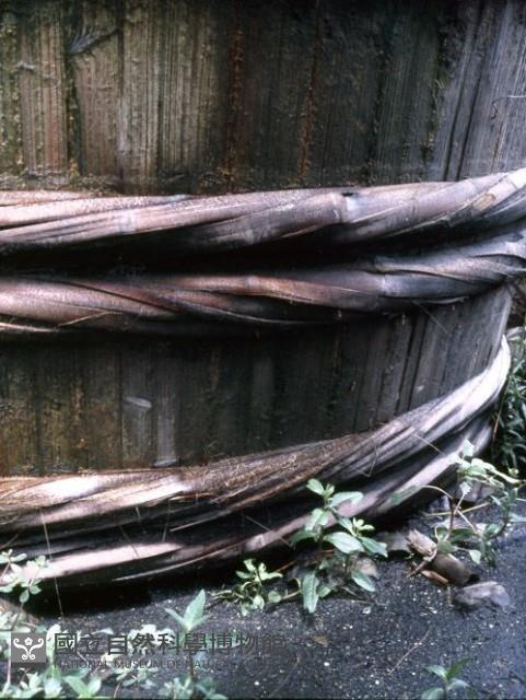 1950至2006年臺灣常民生活藏品圖，第1張