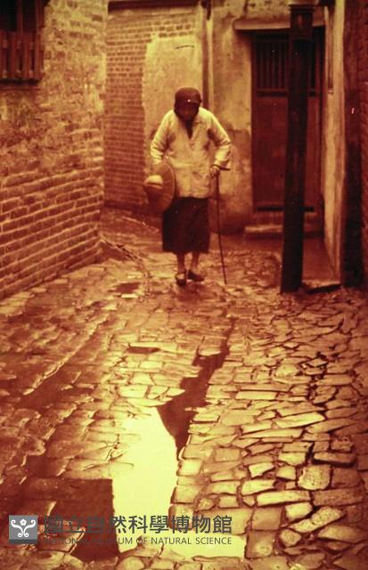 1950至2006年臺灣常民生活藏品圖，第1張