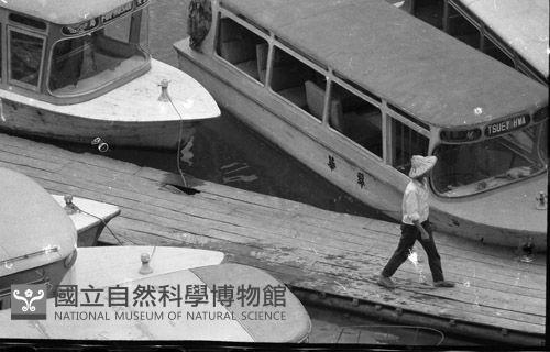 1950至2006年臺灣常民生活藏品圖，第1張