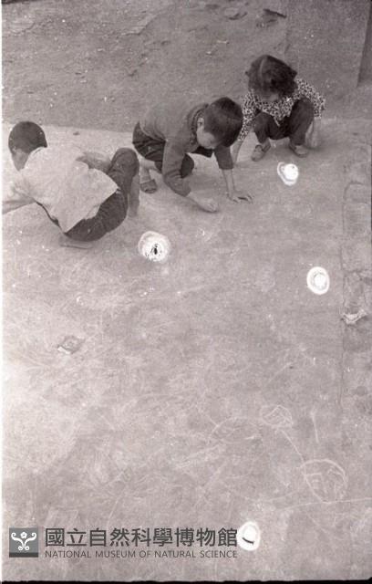 1950至2006年臺灣常民生活藏品圖，第1張