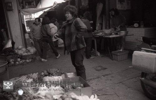 1950至2006年臺灣常民生活藏品圖，第1張