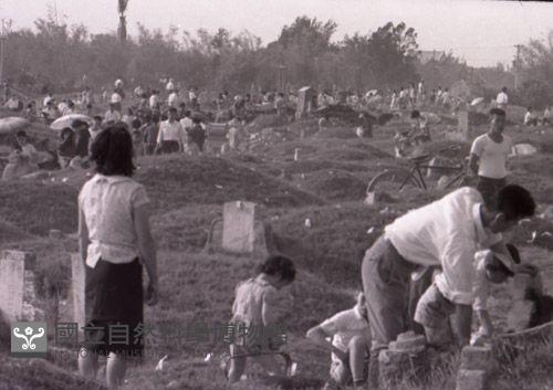 1950至2006年臺灣常民生活藏品圖，第1張