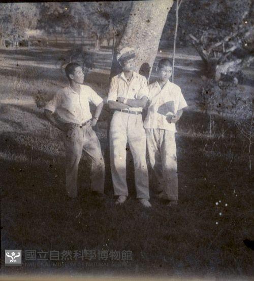 1950至2006年臺灣常民生活藏品圖，第1張
