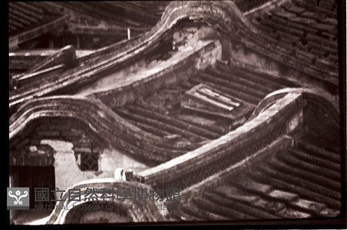 1950至2006年臺灣常民生活藏品圖，第1張