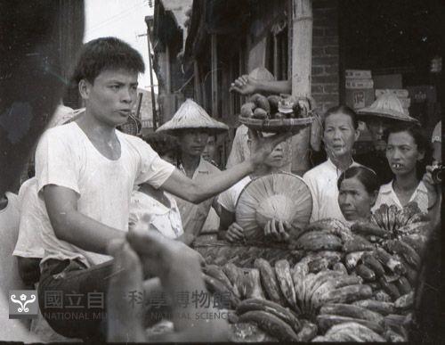 1950至2006年臺灣常民生活藏品圖，第1張