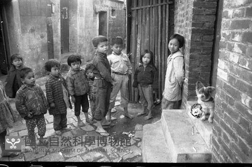 1950至2006年臺灣常民生活藏品圖，第1張