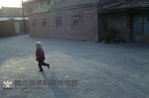 1950至2006年臺灣常民生活藏品圖，第1張