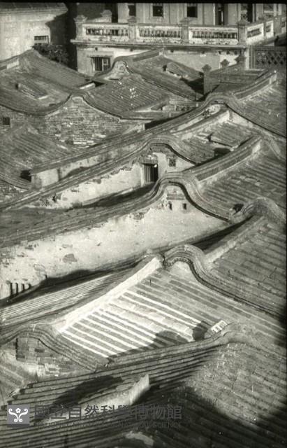 1950至2006年臺灣常民生活藏品圖，第1張