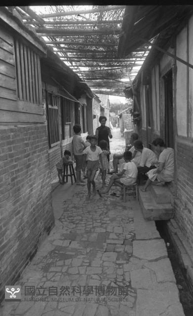 1950至2006年臺灣常民生活藏品圖，第1張