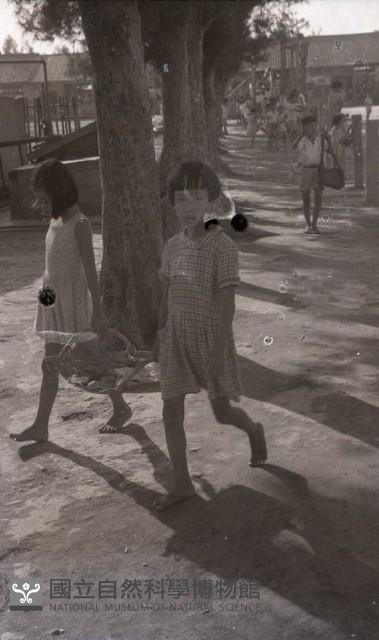 1950至2006年臺灣常民生活藏品圖，第1張