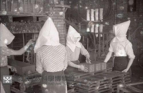1950至2006年臺灣常民生活藏品圖，第1張