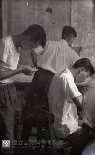 1950至2006年臺灣常民生活藏品圖，第1張