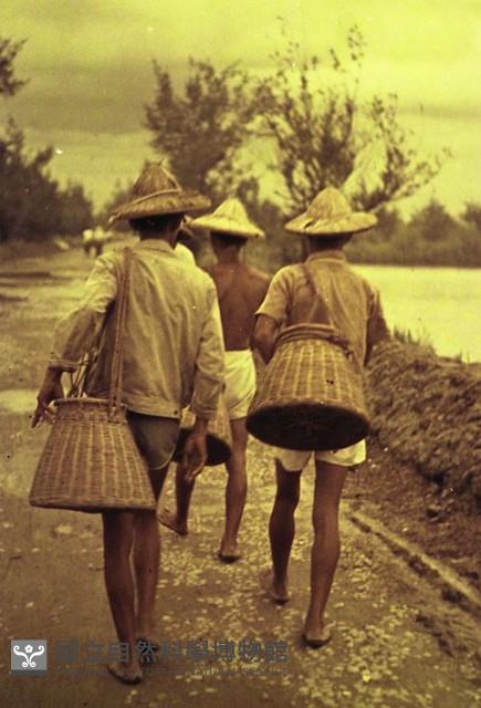 1950至2006年臺灣常民生活藏品圖，第1張