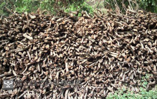 Accession Number:MP2007010095 Collection Image