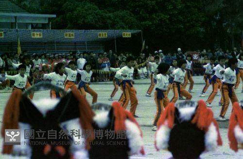 1950至2006年臺灣常民生活藏品圖，第1張