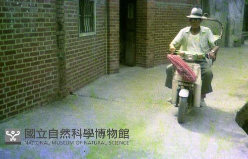 1950至2006年臺灣常民生活藏品圖，第1張