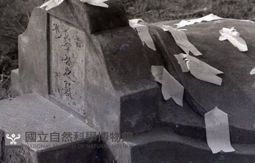1950至2006年臺灣常民生活藏品圖，第1張