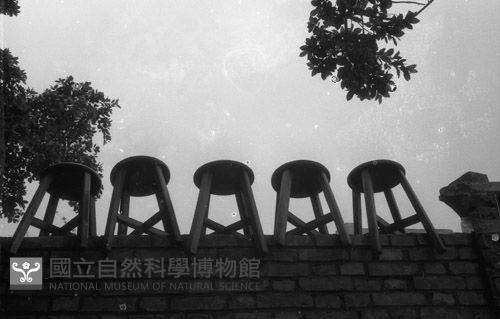 1950至2006年臺灣常民生活藏品圖，第1張