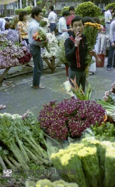 1950至2006年臺灣常民生活藏品圖，第1張