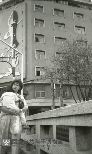1950至2006年臺灣常民生活藏品圖，第1張