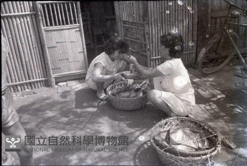 1950至2006年臺灣常民生活藏品圖，第1張