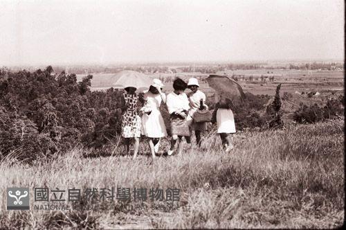 1950至2006年臺灣常民生活藏品圖，第1張