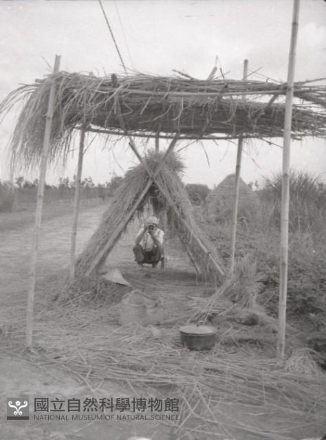1950至2006年臺灣常民生活藏品圖，第1張