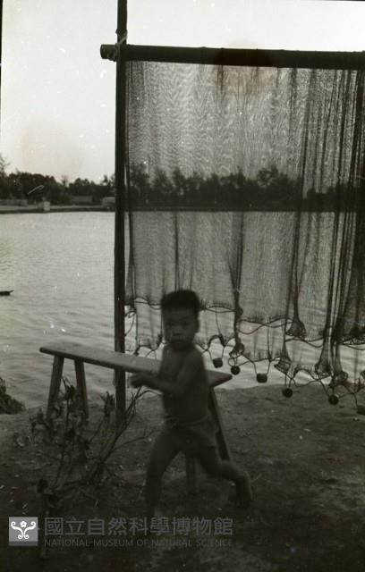 1950至2006年臺灣常民生活藏品圖，第1張