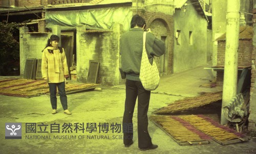 1950至2006年臺灣常民生活藏品圖，第1張