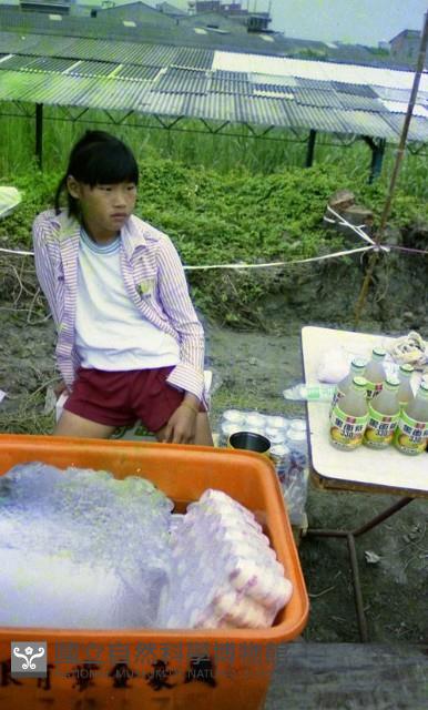 1950至2006年臺灣常民生活藏品圖，第1張