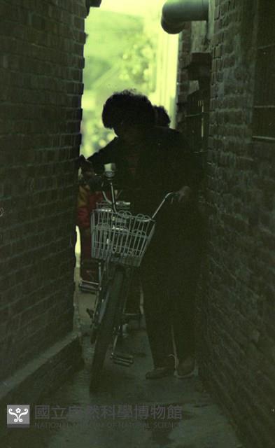 1950至2006年臺灣常民生活藏品圖，第1張