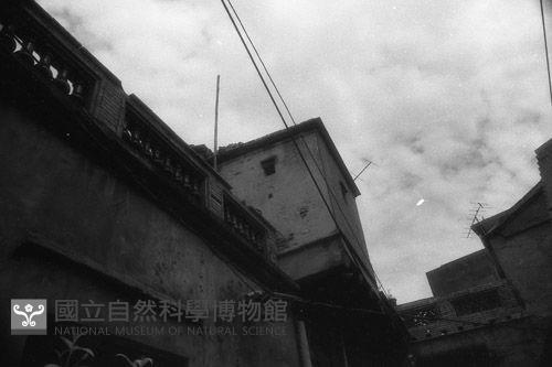 1950至2006年臺灣常民生活藏品圖，第1張