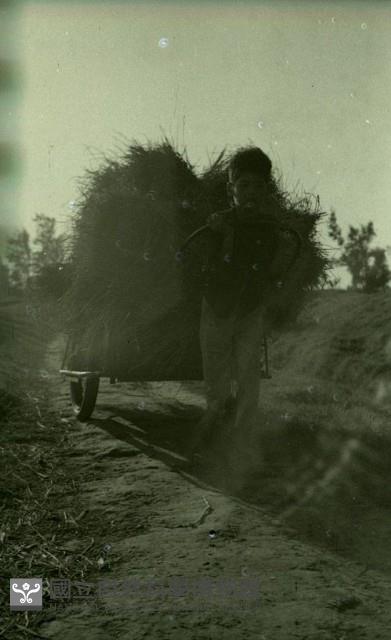 1950至2006年臺灣常民生活藏品圖，第1張