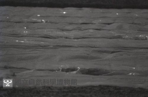 1950至2006年台灣常民生活藏品圖，第1張