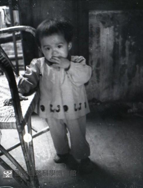 1950至2006年台灣常民生活藏品圖，第1張