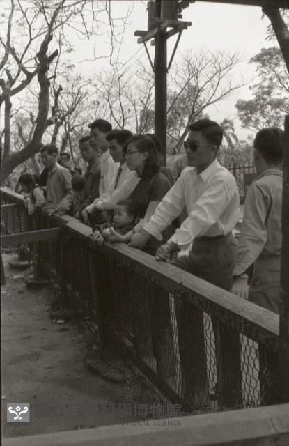 1950至2006年臺灣常民生活藏品圖，第1張