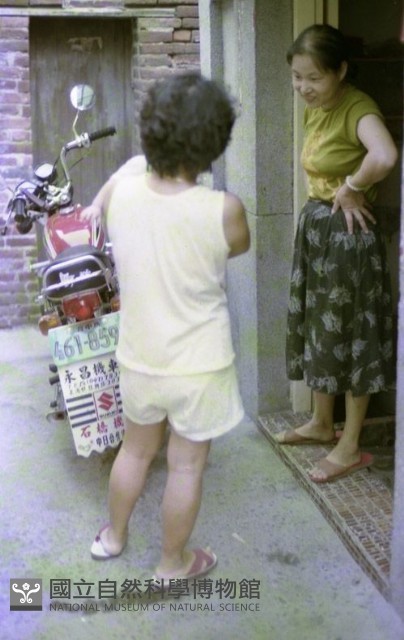 1950至2006年臺灣常民生活藏品圖，第1張