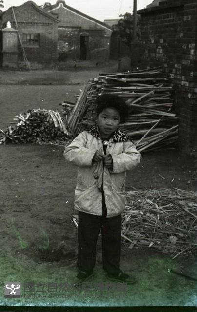 1950至2006年臺灣常民生活藏品圖，第1張