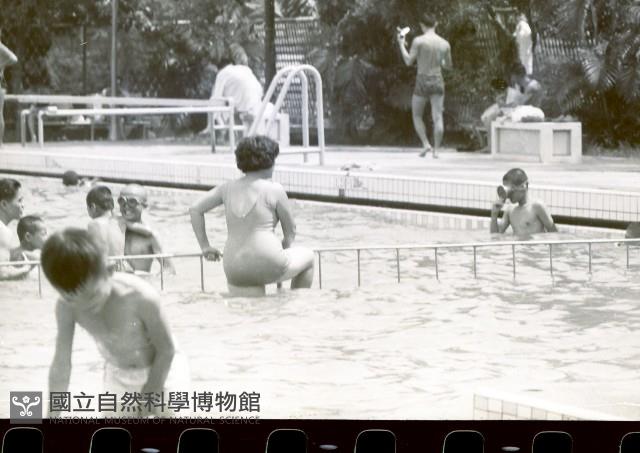 1950至2006年臺灣常民生活藏品圖，第1張